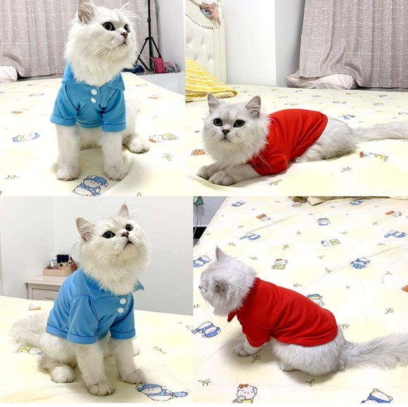 NWT Blue puppy dog polo shirt size M - Picture 7 of 8